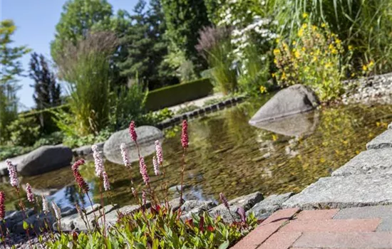 Der Wassergarten - Harmonie und Bewegung zugleich