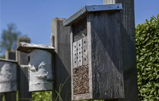 Bauen Sie ein Insektenhotel 