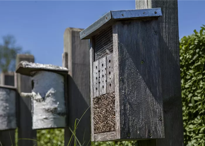 Ein Insektenhotel im Garten: Urlaub und Erholung für Biene und Co.