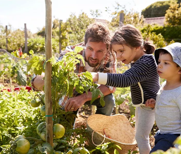 1A_Garten_soziales_Engagement.jpg