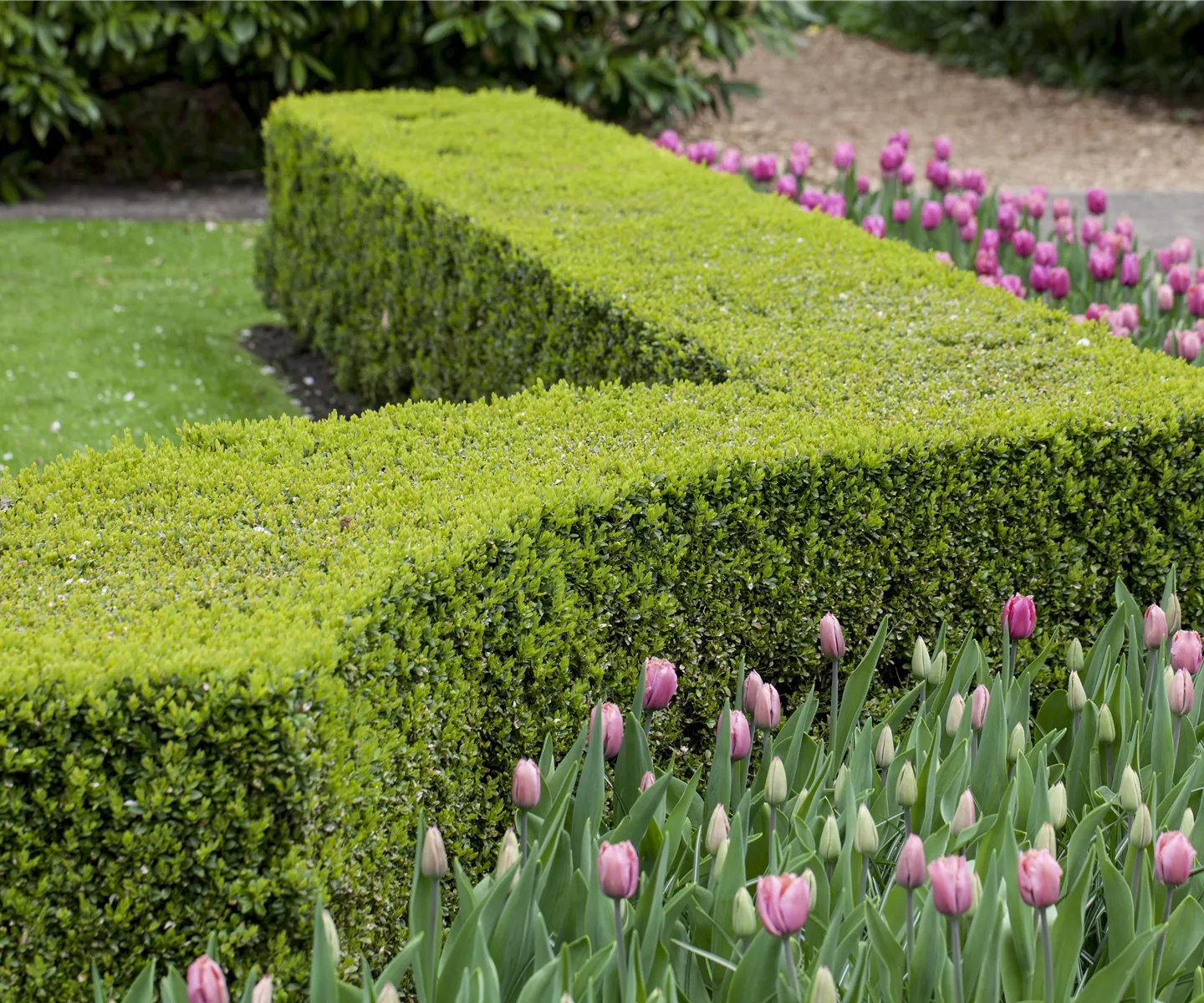 Gartenräume optimal gestalten